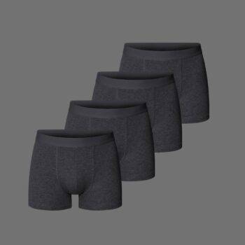 4 pack grey trunk